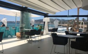 Glass & Aluminium Pivot Doors
