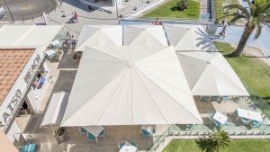 Umbrellas 19 Special Parasols Large Umbrellas