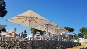 Umbrellas 23 Special Parasols Large Umbrellas